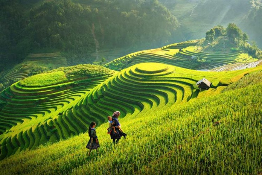 The stunning terraced rice fields in Nghia Lo Yen Bai